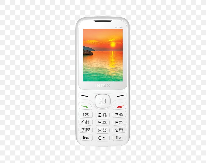 Intex Smart World Intex Cloud FX Mobile Phone Features Nokia IPhone, PNG, 524x650px, Intex Smart World, Cellular Network, Communication Device, Electronic Device, Feature Phone Download Free