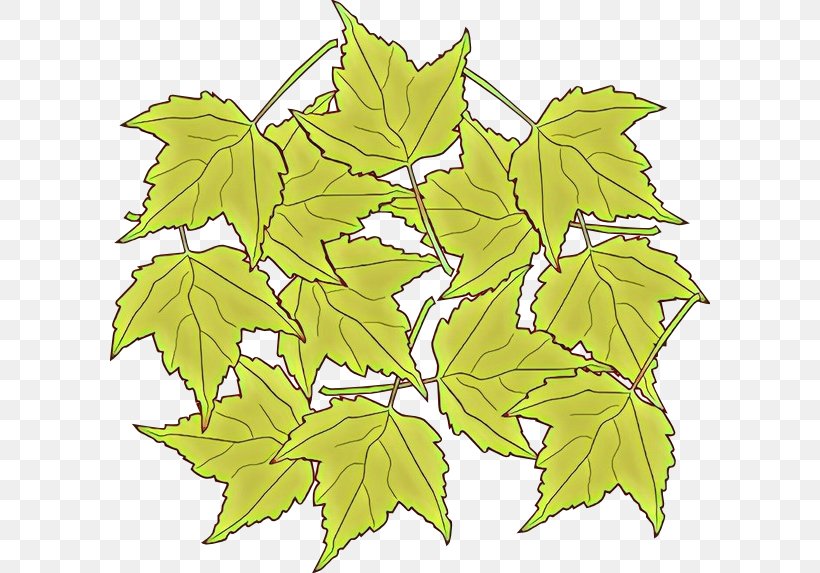 Maple Leaf, PNG, 600x573px, Cartoon, Black Maple, Flower, Flowering Plant, Grape Leaves Download Free