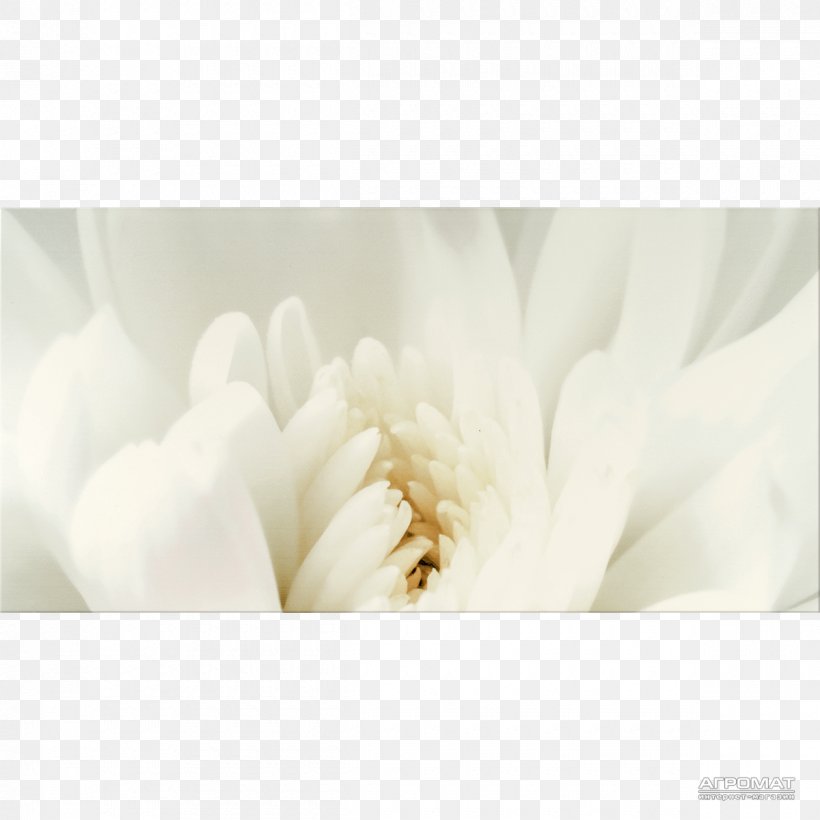 Opoczno Tile Ceramic Keramamarket Wall, PNG, 1200x1200px, Opoczno, Ceramic, Floral Design, Flower, Flowering Plant Download Free