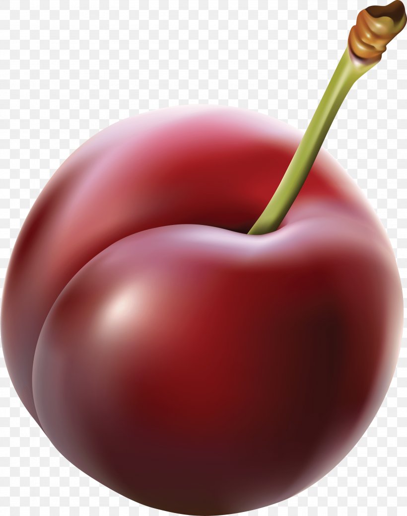 Plum Clip Art, PNG, 2765x3504px, Plum, Apple, Bell Peppers And Chili Peppers, Cherry, Food Download Free