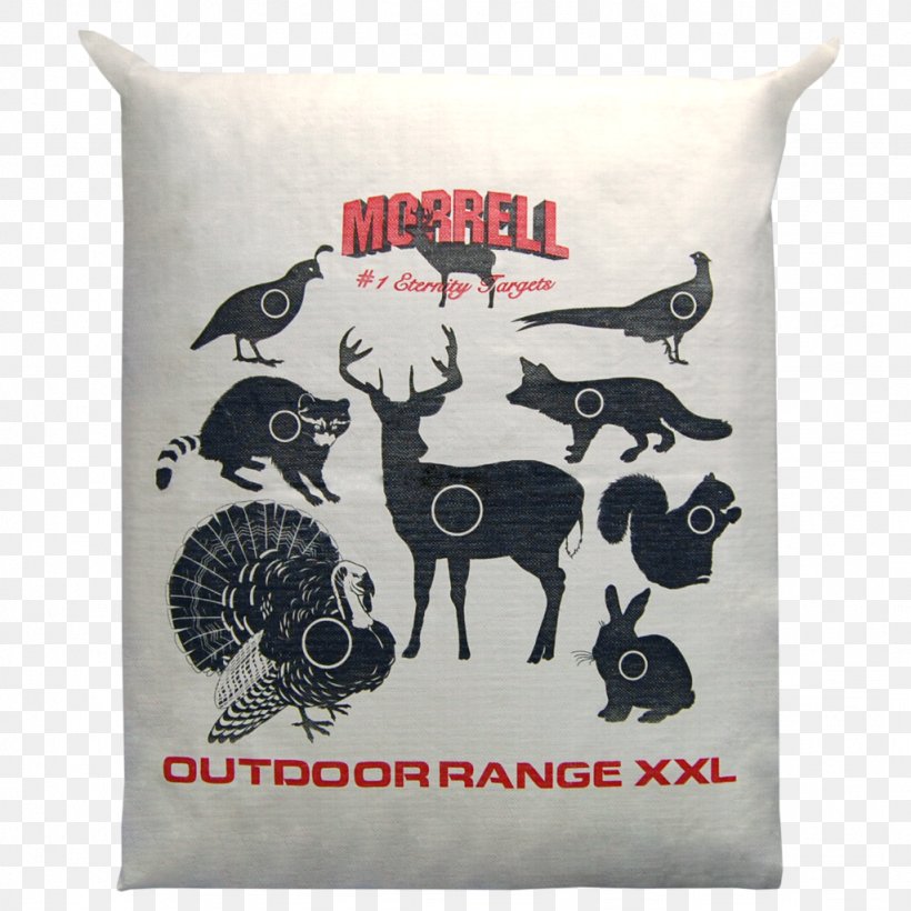 Throw Pillows Amazon.com Outdoor Recreation Target Corporation Cushion, PNG, 1024x1024px, Throw Pillows, Amazoncom, Bell X14, Cushion, Giant Bicycles Download Free