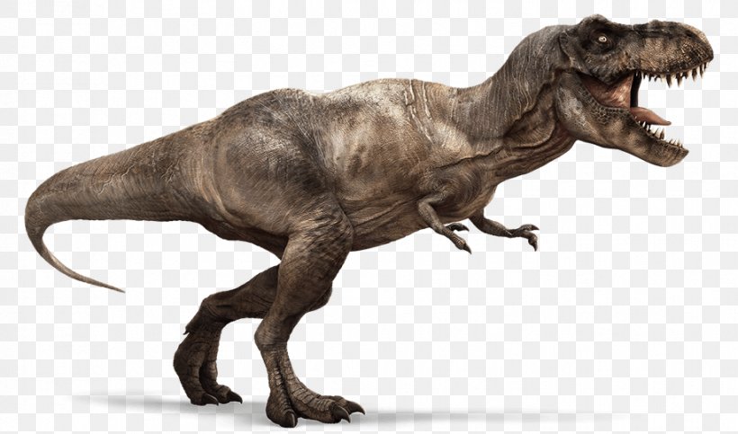 Tyrannosaurus Ankylosaurus Hell Creek Formation Meat-Eating Dinosaurs, PNG, 915x540px, Tyrannosaurus, Ankylosaurus, Carnivore, Coelurosauria, Dinosaur Download Free