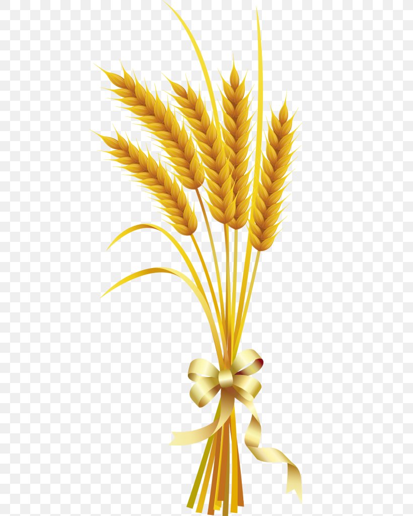 Wheat Ear Clip Art, PNG, 515x1024px, Wheat, Aartje, Advertising, Cereal, Commodity Download Free