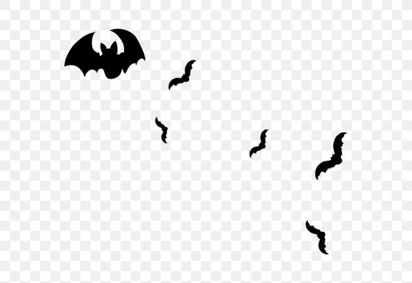 Bat Spider Web, PNG, 564x564px, Spider, Bat, Bird, Black, Black And White Download Free