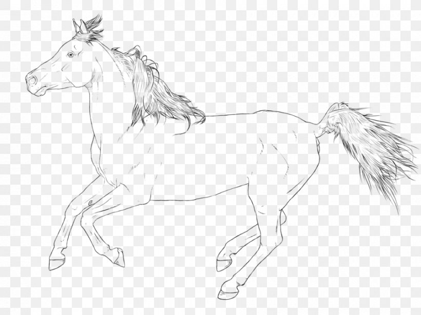 Mustang Arabian Horse Stallion Line Art Pony, PNG, 900x674px, Mustang, Animal Figure, Arabian Horse, Artwork, Black And White Download Free