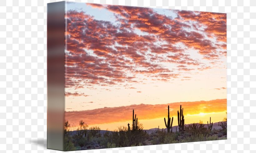Sonoran Desert Sunrise Painting, PNG, 650x489px, Sonoran Desert, Acrylic Paint, Art, Business Day, Dawn Download Free