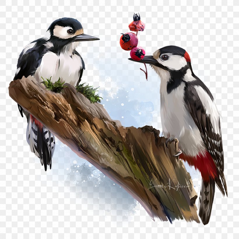 Watercolor Painter, PNG, 900x900px, Woodpecker, Acorn Woodpecker, Art, Artist, Artists Portfolio Download Free