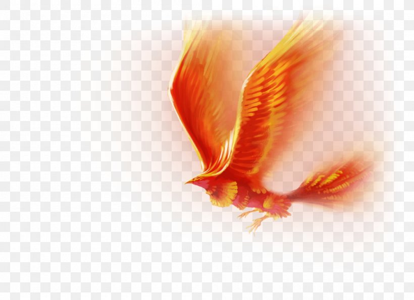 Desktop Wallpaper Image Phoenix Clip Art, PNG, 1000x726px, Phoenix, Close Up, Computer, Emblem, Hon Company Download Free