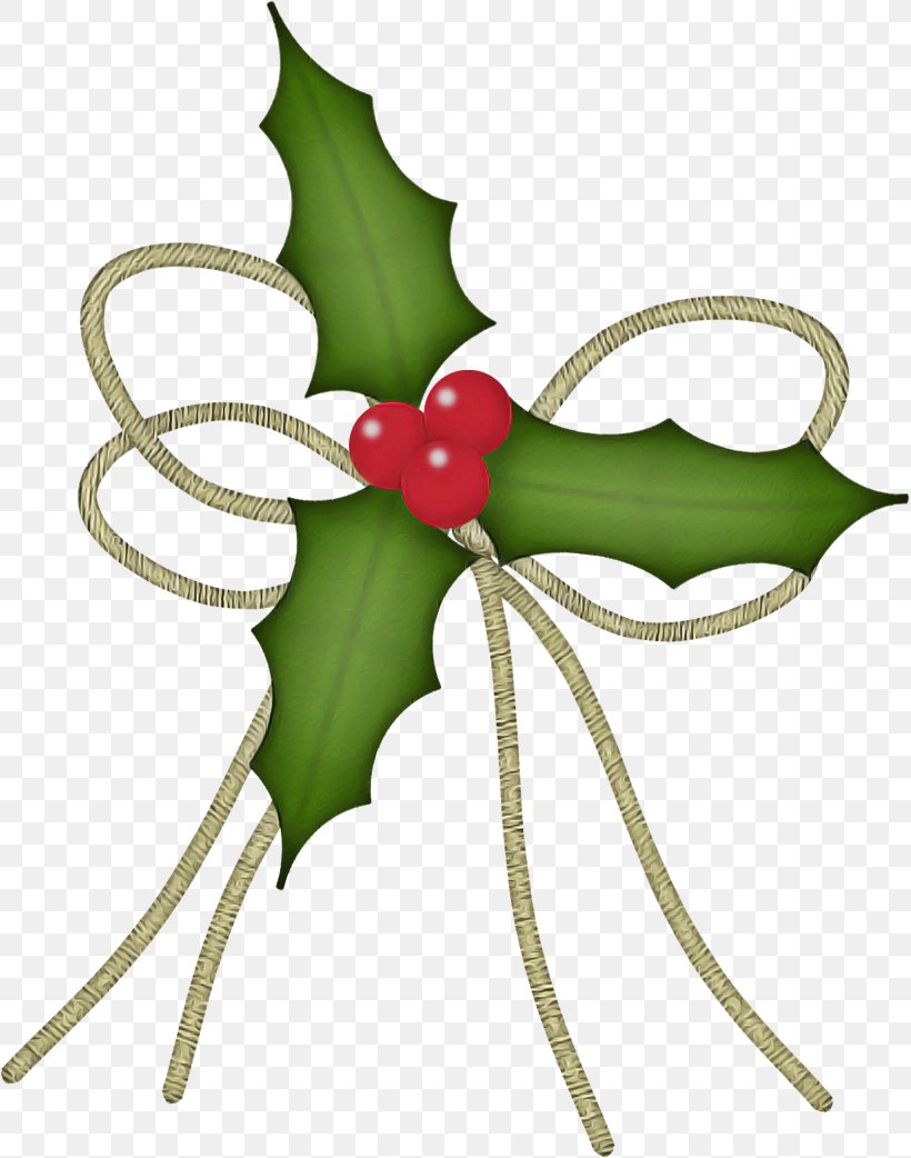 Holly, PNG, 819x1042px, Holly, Flower, Leaf, Plant Download Free