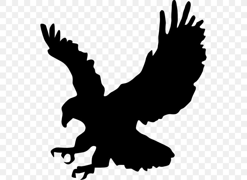 Bald Eagle Silhouette Clip Art, PNG, 552x596px, Bald Eagle, Accipitridae, Artwork, Beak, Bird Download Free