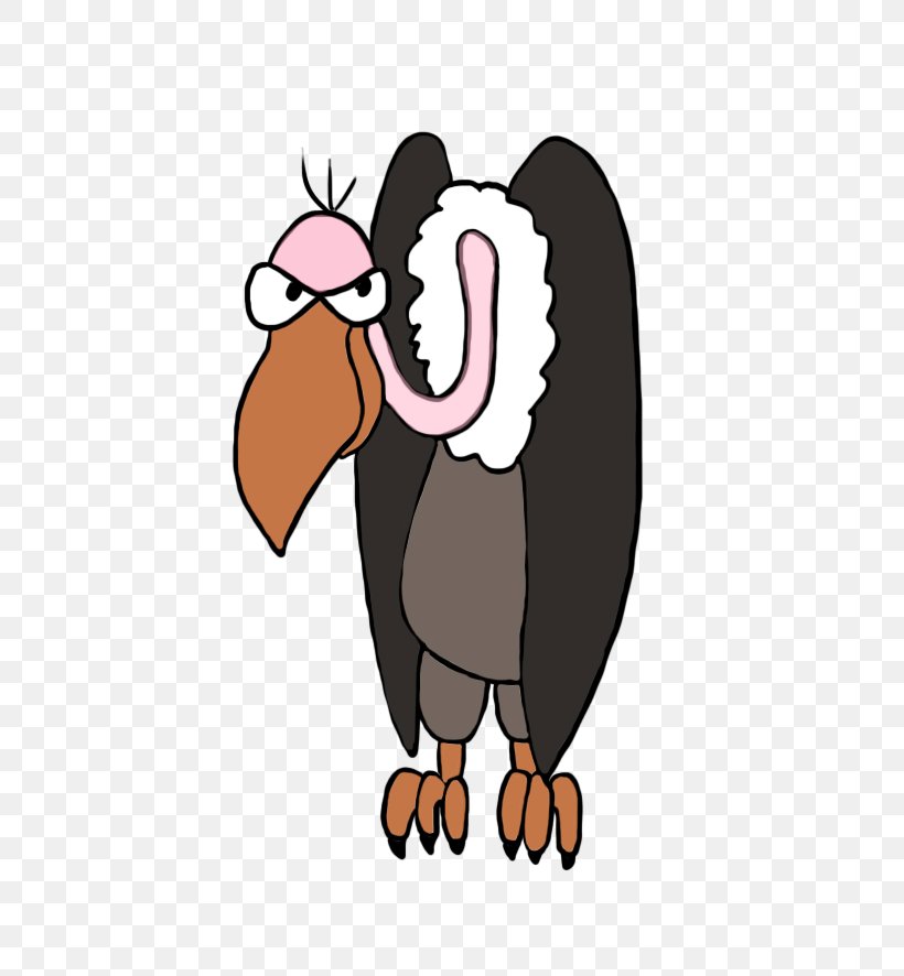 Clip Art Beaky Buzzard Drawing Image, PNG, 558x886px, Watercolor, Cartoon, Flower, Frame, Heart Download Free