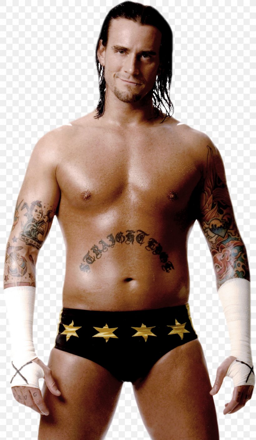 CM Punk ECW Ultimate Fighting Championship Professional Wrestler Extreme Championship Wrestling, PNG, 1024x1759px, Watercolor, Cartoon, Flower, Frame, Heart Download Free