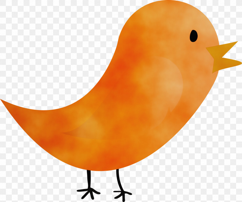 Orange, PNG, 3000x2507px, Cartoon Bird, Atlantic Canary, Beak, Bird, Canary Download Free