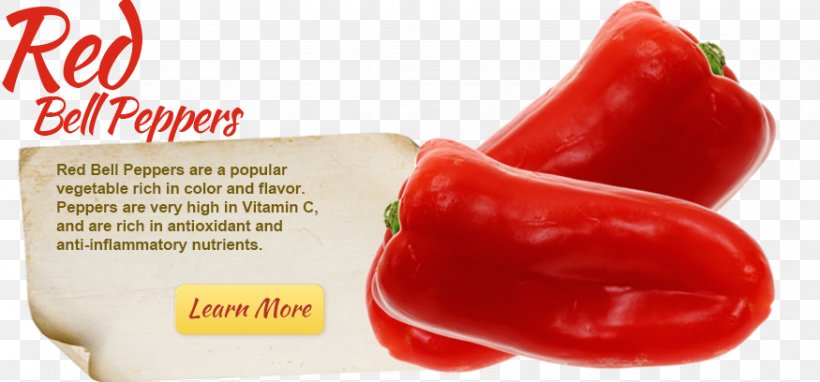 Piquillo Pepper Bell Pepper Tabasco Pepper Cayenne Pepper Pimiento, PNG, 875x408px, Piquillo Pepper, Bell Pepper, Bell Peppers And Chili Peppers, Capsicum, Capsicum Annuum Download Free