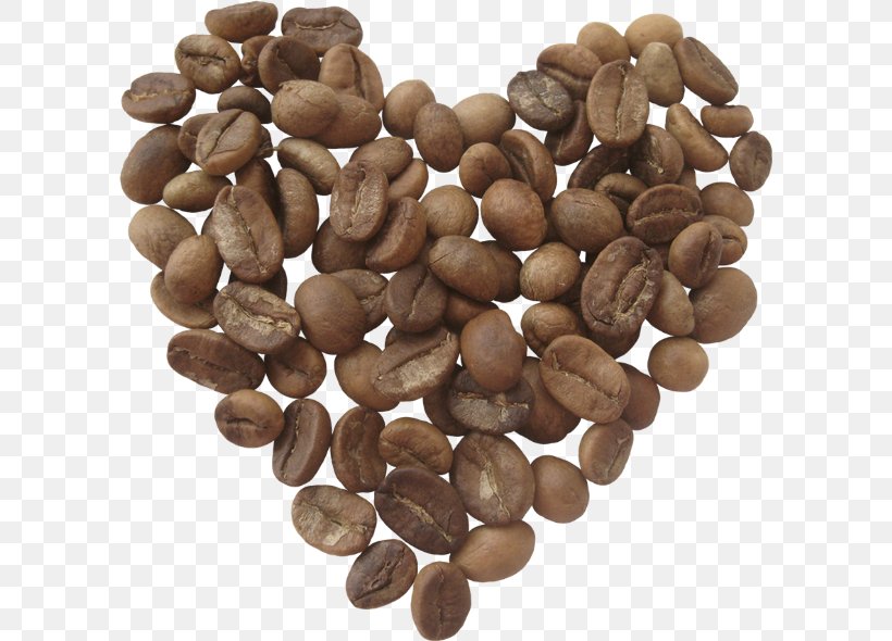 Jamaican Blue Mountain Coffee Tea Cafe Espresso, PNG, 600x590px, Coffee, Bean, Cafe, Coffee Bean, Coffee Cup Download Free