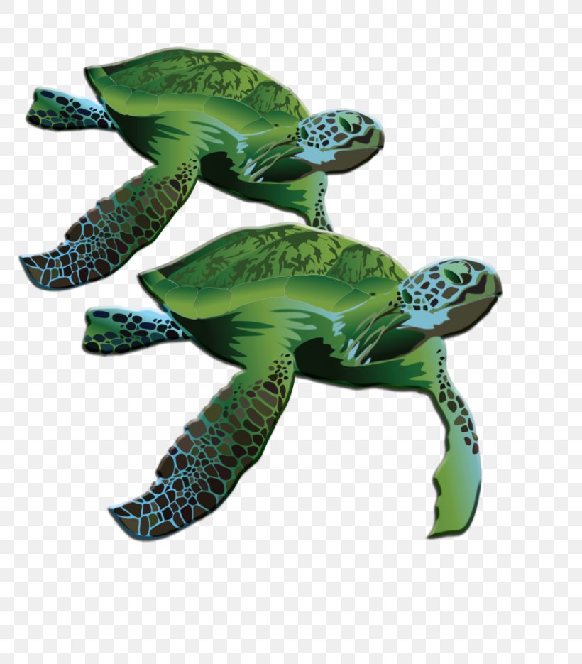 Loggerhead Sea Turtle La Quinta Inns & Suites Terrestrial Animal, PNG, 800x935px, Loggerhead Sea Turtle, Animal, La Quinta Inns Suites, Loggerhead, Organism Download Free