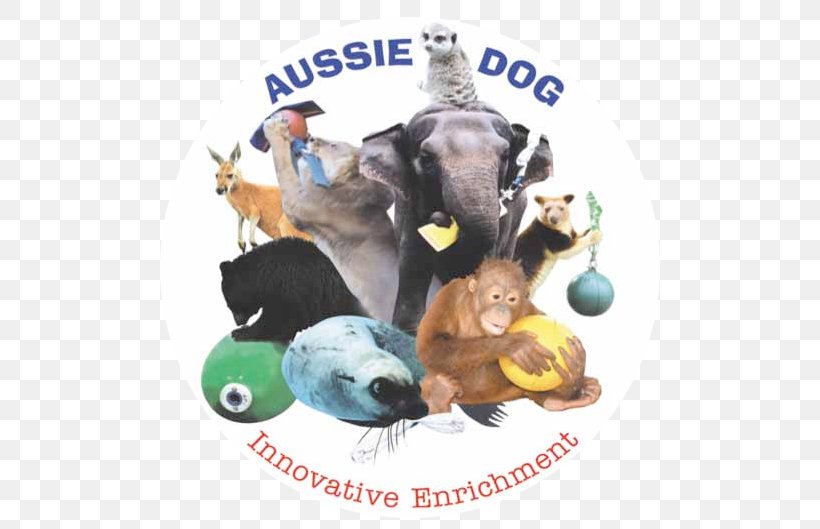 Behavioral Enrichment Animal Australian Shepherd Zookeeper, PNG, 532x529px, Behavioral Enrichment, Animal, Arthur Rimbaud, Australian Shepherd, Dog Download Free
