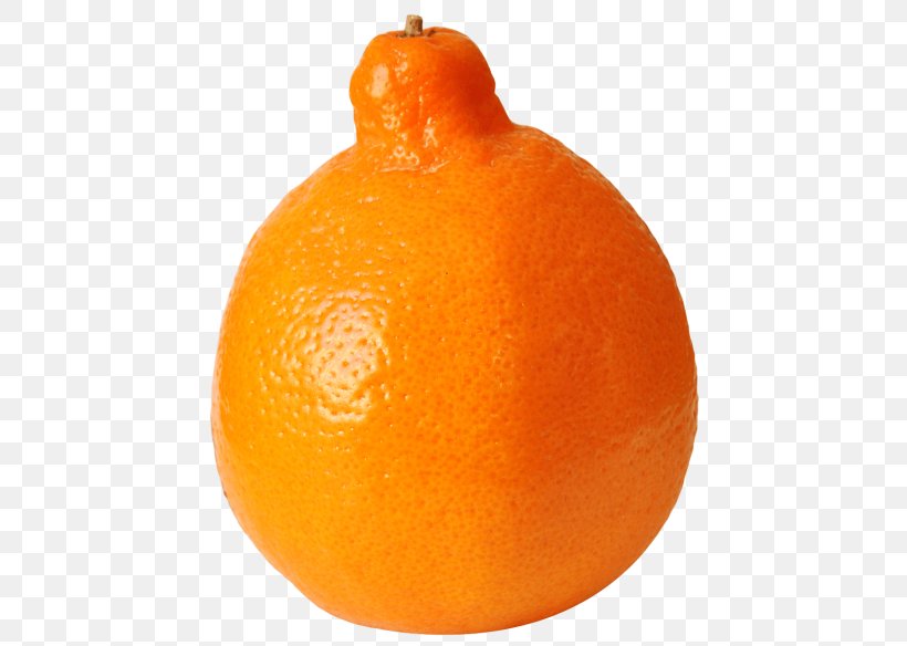 Clementine Tangelo Mandarin Orange Tangerine Blood Orange, PNG, 480x584px, Clementine, Auglis, Bitter Orange, Blood Orange, Citric Acid Download Free