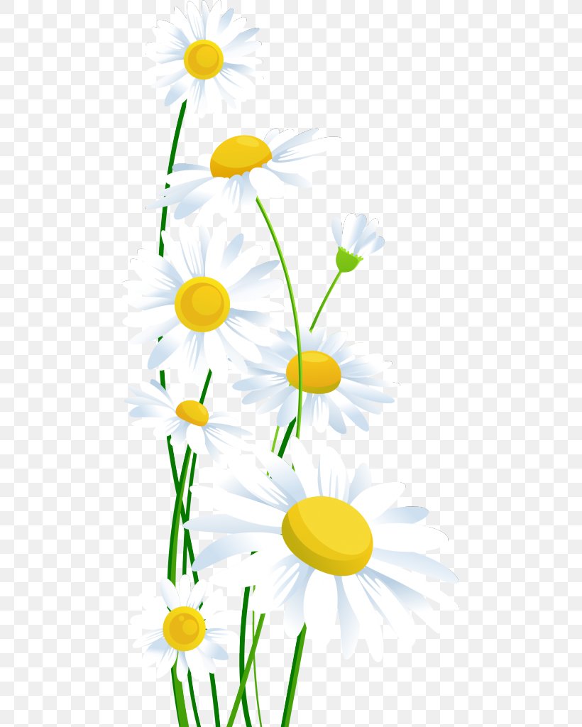 Common Daisy Clip Art, PNG, 475x1024px, Common Daisy, Artwork, Branch, Chamaemelum Nobile, Chamomile Download Free