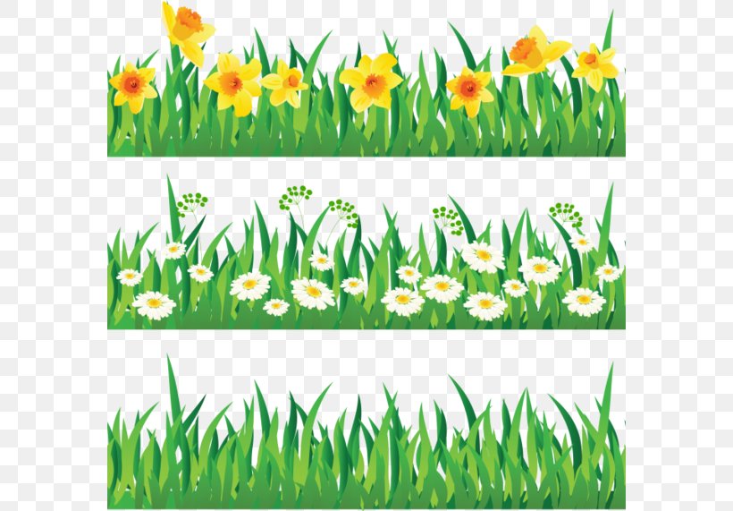 Herbaceous Plant Flower Clip Art, PNG, 580x571px, Herbaceous Plant, Depositfiles, Flower, Flowering Plant, Grass Download Free
