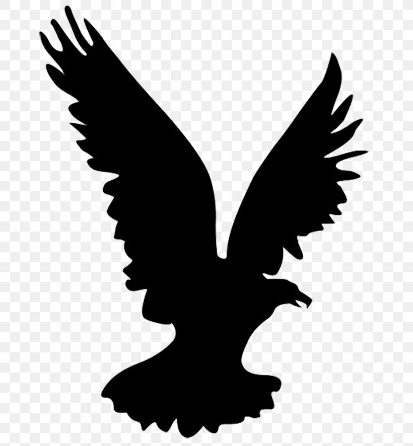 Bald Eagle Bird Silhouette Clip Art, PNG, 696x886px, Bald Eagle, Beak, Bird, Bird Of Prey, Black And White Download Free