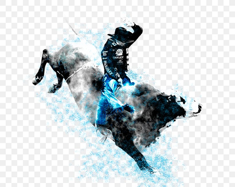 Horse Dry Suit Water Desktop Wallpaper Extreme Sport, PNG, 701x654px, Horse, Computer, Dry Suit, Extreme Sport, Horse Like Mammal Download Free