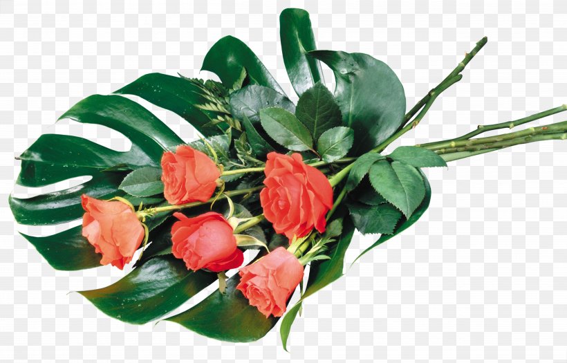 UXGA Rose Desktop Wallpaper 1080p Flower, PNG, 5218x3346px, Uxga, Artificial Flower, Cut Flowers, Display Resolution, Floral Design Download Free