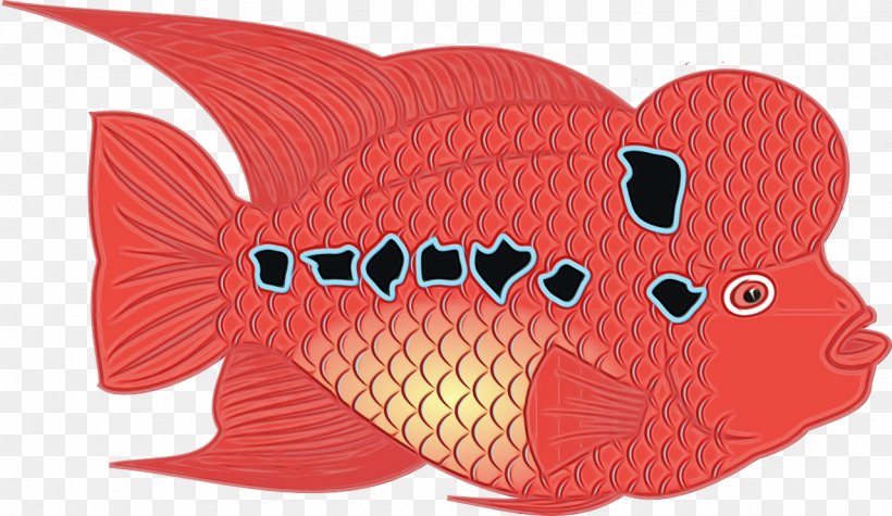 Fish Fish Red Pink Red Snapper, PNG, 1280x743px, Watercolor, Carp, Fin, Fish, Paint Download Free