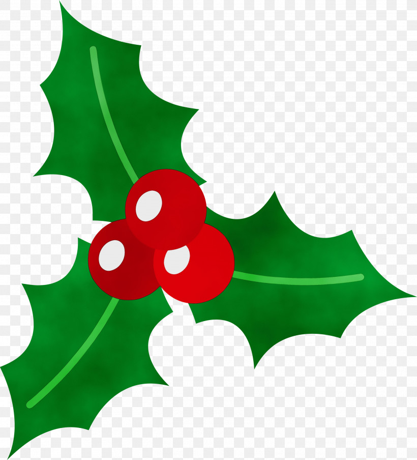 Holly, PNG, 2719x3000px, Holly, Christmas Ornament, Flower, Green, Leaf Download Free