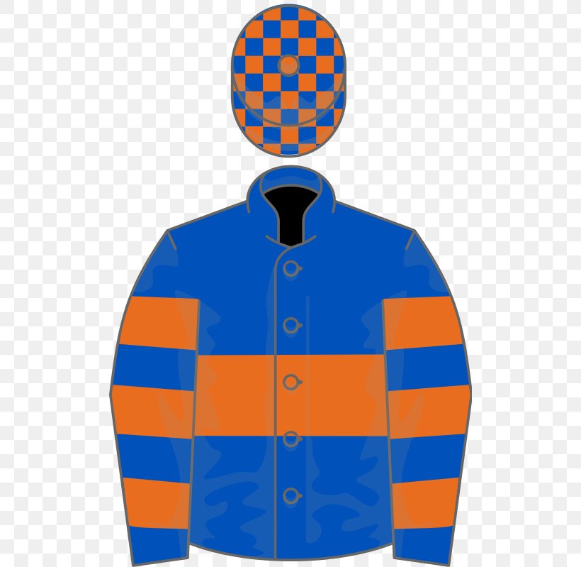 Oyster Stakes Gallinule Stakes Wikipedia Dunboyne Castle Novice Hurdle Sleeve, PNG, 512x799px, Gallinule Stakes, Blue, Champion Hurdle, Cobalt Blue, Electric Blue Download Free