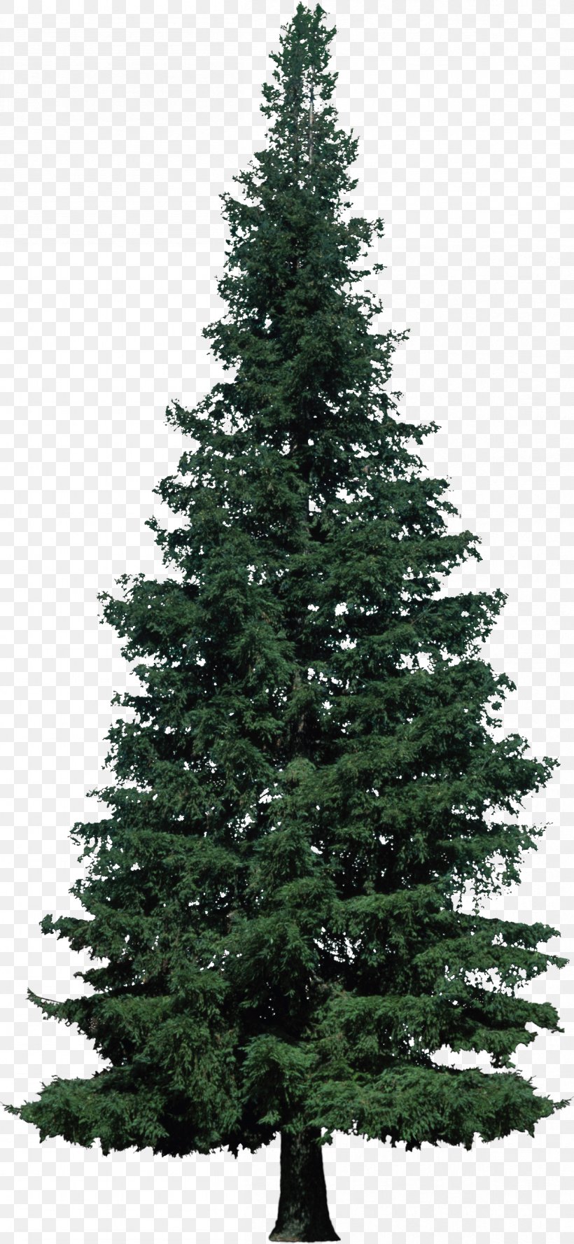Artificial Christmas Tree Balsam Hill, PNG, 1204x2610px, Artificial Christmas Tree, Aluminum Christmas Tree, Balsam Hill, Biome, Christmas Download Free