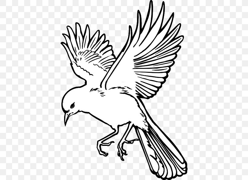 Birdwatching Flight Drawing Clip Art, PNG, 420x596px, Bird, Animal, Artwork, Beak, Bird Flight Download Free