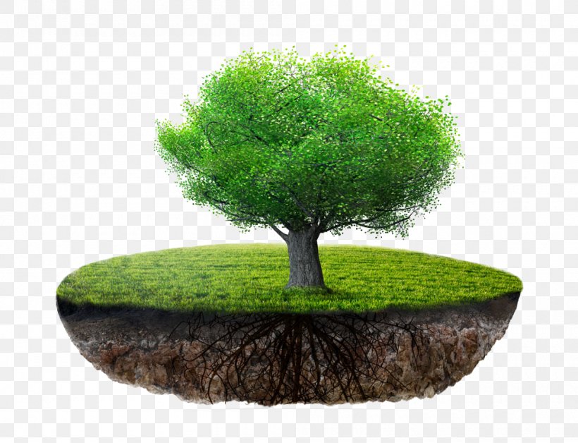 Floating Island, PNG, 1000x766px, 3d Rendering, Floating Island, Bonsai, Flowerpot, Grass Download Free