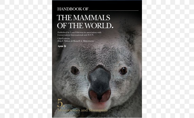 Koala Handbook Of The Mammals Of The World, PNG, 500x500px, Koala, Beak, Biological Classification, Book, Don E Wilson Download Free