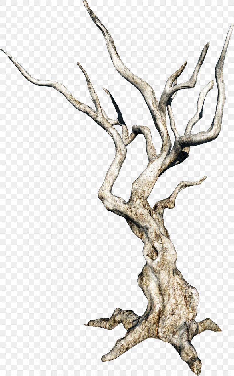 Tree Branch Image Twig, PNG, 1172x1888px, Tree, Art, Branch, Drawing, Flower Download Free
