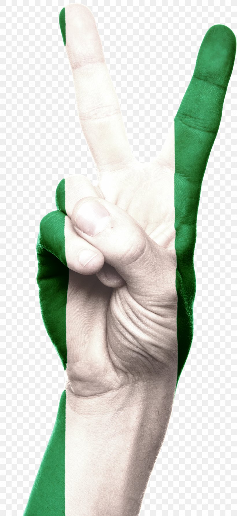 Flag Of Nigeria Nigeria: Giant Of Africa Hand Advance-fee Scam, PNG, 884x1920px, Nigeria, Advancefee Scam, All Progressives Congress, Arm, Finger Download Free