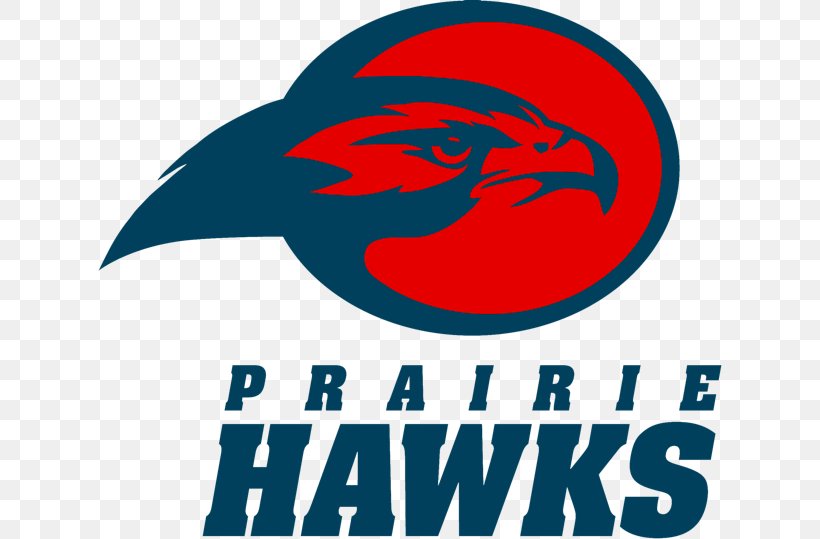 The Prairie School Shortgrass Prairie Atlanta Hawks Racine, PNG, 624x539px, Prairie School, Area, Artwork, Atlanta Hawks, Basketball Download Free