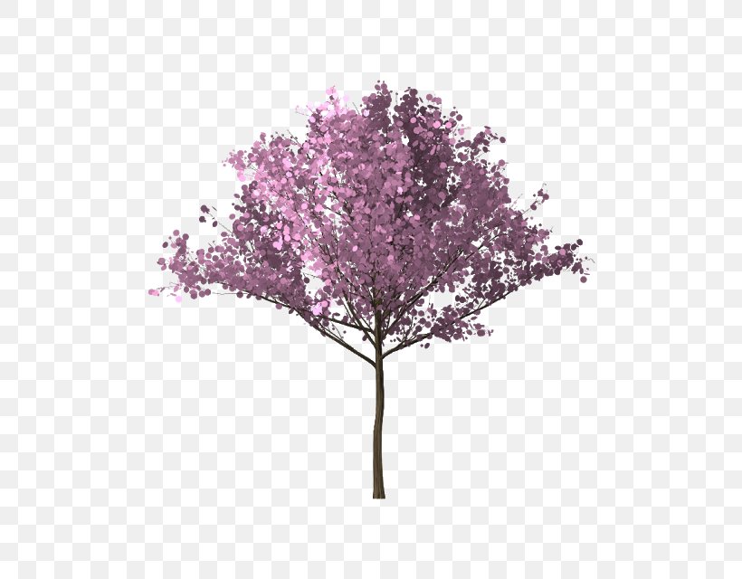 Tree Branch Cherry Blossom, PNG, 640x640px, Tree, Blossom, Branch, Cherry Blossom, Lilac Download Free