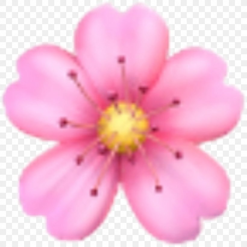 Emoji Domain Flower Sticker, PNG, 1024x1024px, Emoji, Apple Color Emoji, Blossom, Cherry Blossom, Emoji Domain Download Free