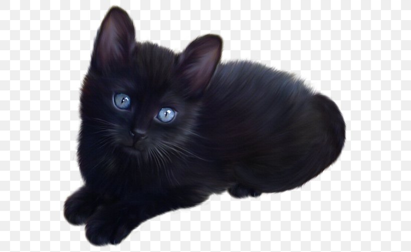 Kitten Maine Coon Black Cat Clip Art, PNG, 600x502px, Kitten, Animal, Black, Black Cat, Bombay Download Free