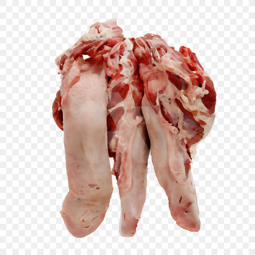 Red Meat Back Bacon Goat Meat Veal Lamb, PNG, 1280x1280px, Watercolor, Animal Fat, Back Bacon, Bacon, Boston Butt Download Free