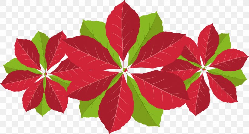 Wedding Invitation Christmas Poinsettia Flower, PNG, 1445x780px, Wedding Invitation, Christmas, Christmas Card, Christmas Eve, Christmas Ornament Download Free