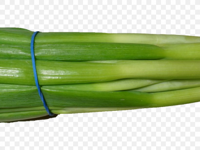 Welsh Onion Leek Scallion Vegetable, PNG, 1024x768px, Welsh Onion, Chopped Onion, Food, Green, Leek Download Free