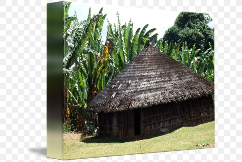 Archaeological Site Roof Crannog Archaeology Shed, PNG, 650x547px, Archaeological Site, Archaeology, Cottage, Crannog, Home Download Free