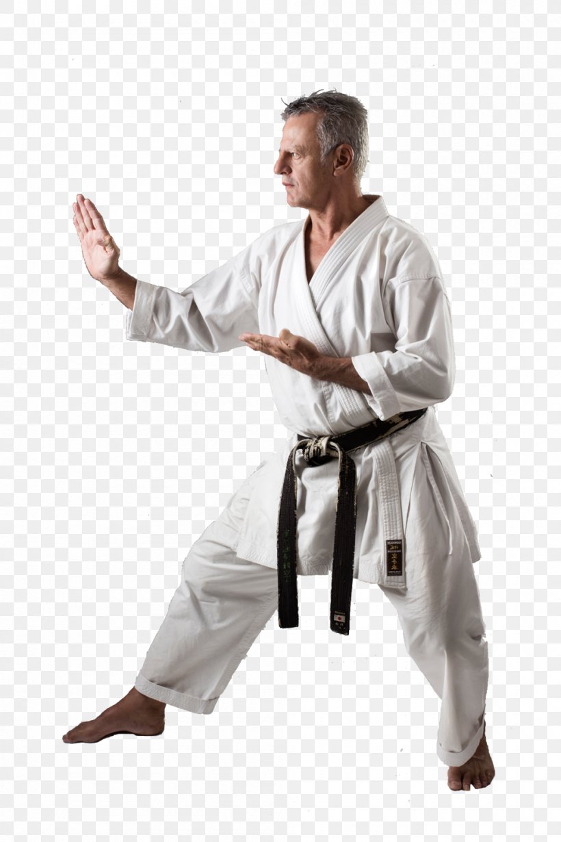 Karate Gi Dobok Martial Arts Tang Soo Do, PNG, 1000x1500px, Karate, Arm, Baguazhang, Boxing, Dobok Download Free