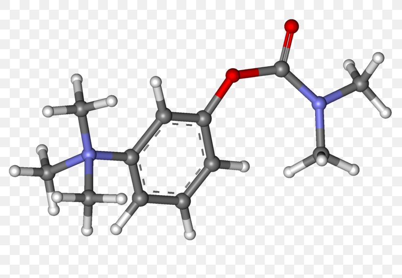 Neostigmine Acetylcholinesterase Inhibitor Parasympathomimetic Drug Physostigmine, PNG, 800x567px, Neostigmine, Acetylcholine, Acetylcholinesterase, Acetylcholinesterase Inhibitor, Atropine Download Free