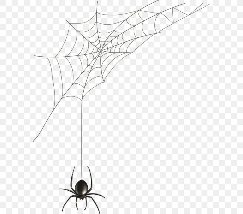 Spider Web Black House Spider Illustration, PNG, 600x721px, Spider, Area, Black And White, Black House Spider, Drawing Download Free