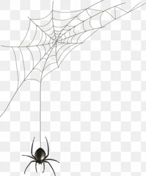 white spider web images white spider web transparent png free download white spider web transparent png