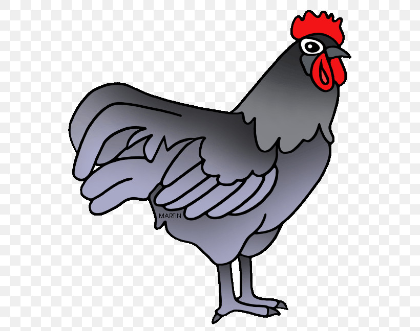 Bird Chicken Rooster Beak Comb, PNG, 573x648px, Bird, Beak, Cartoon, Chicken, Comb Download Free