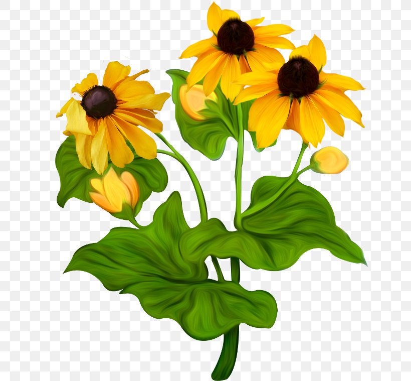 Flower Modest Fashion Clip Art, PNG, 650x759px, Flower, Annual Plant, Cut Flowers, Daisy Family, Diary Download Free